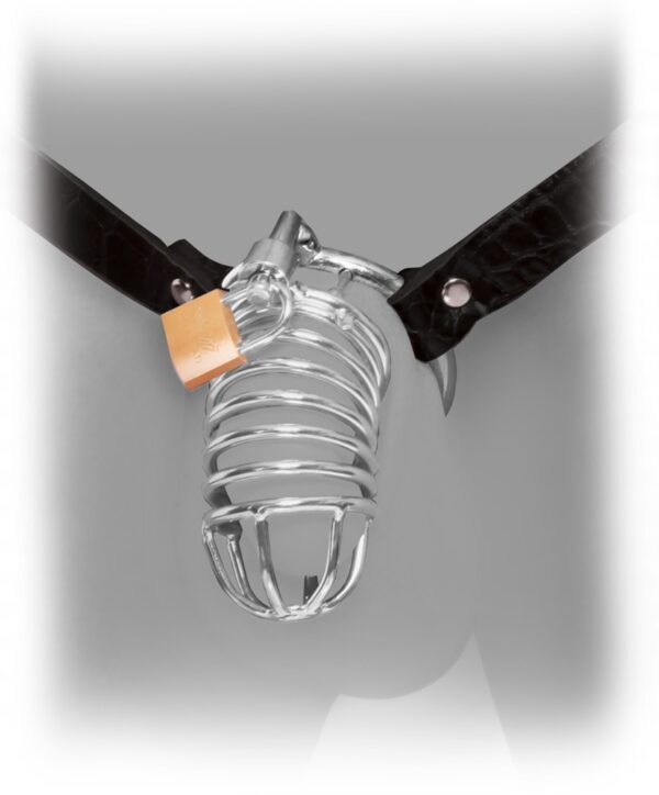 Kyskhedsbur "extreme Chastity"